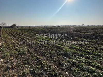 Farm for Sale in Nyamandlovu