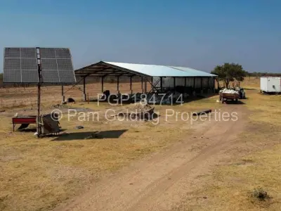 Farm for Sale in Figtree