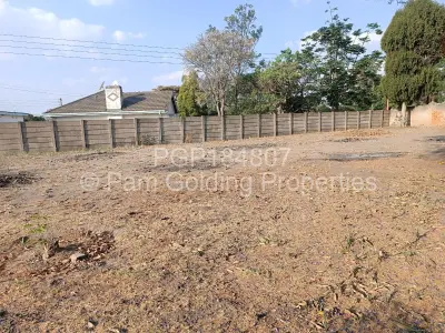 Stand for Sale in Hatfield