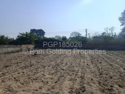 Stand for Sale in Hatfield