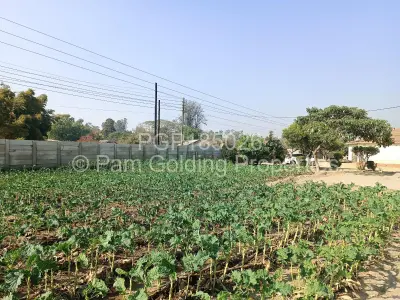 Stand for Sale in Hatfield