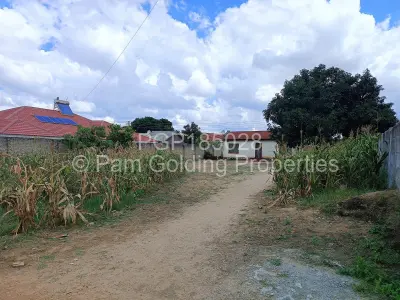 Stand for Sale in Zimre Park