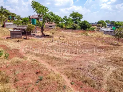 Stand for Sale in Gletwin Park