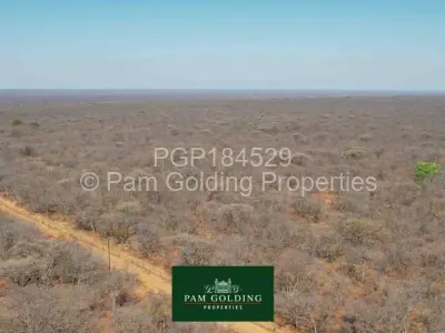 Farm for Sale in Nyamandlovu