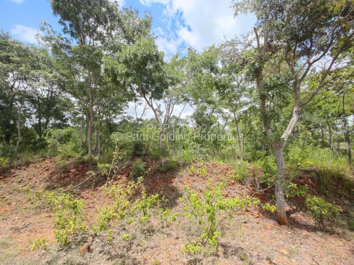 Farm for Sale in Arcturus