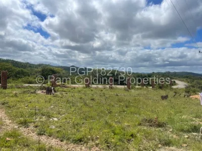 Farm for Sale in Claremont