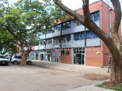Commercial Property for Sale in Avenues