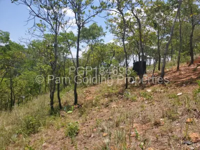 Land for Sale in Carrick Creagh Estate