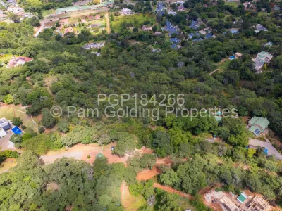 Stand for Sale in Borrowdale Brooke