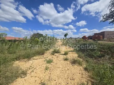 Stand for Sale in Buena Vista