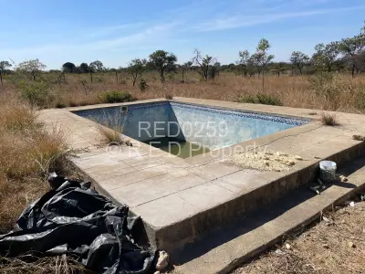 House for Sale in Gumtree