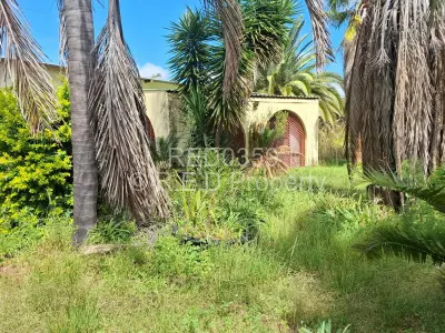 House For Sale in Newton West