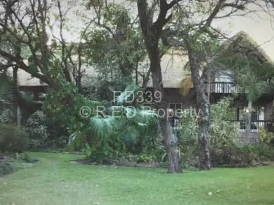 House For Sale in Binga