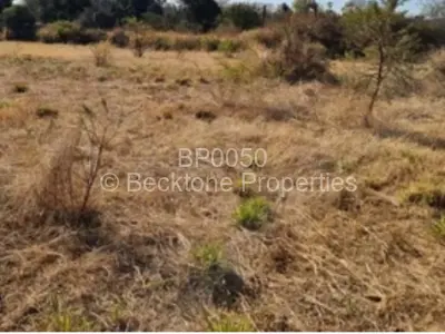 Residential Stand For Sale in Buena Vista