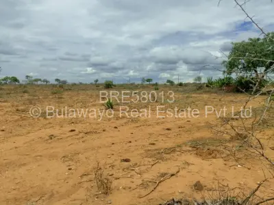 Farm/Plot For Sale in Kensington Byo