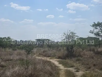 Residential Stand For Sale in Hillside Byo
