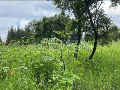 Land for Sale in Philadelphia
