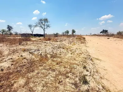Stand for Sale in Lake Chivero