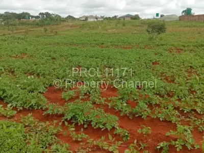 Residential Stand For Sale in Glen Forest