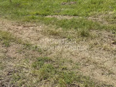 Residential Stand For Sale in Fairview