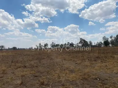 Farm/Plot For Sale in Spitzkop