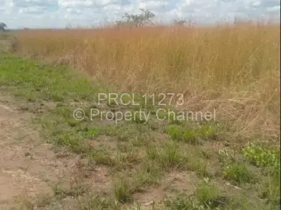 Residential Stand For Sale in Norton