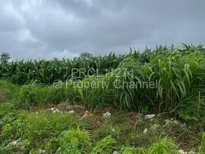 Commercial Stand For Sale in Borrowdale