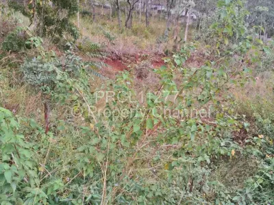 Residential Stand For Sale in Borrowdale