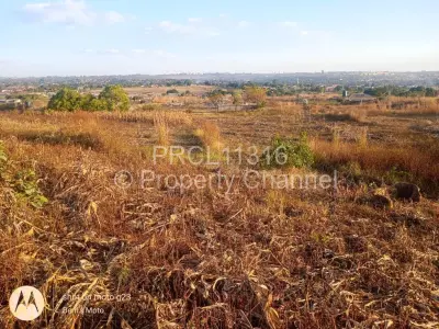 Commercial Stand For Sale in Glen Forest