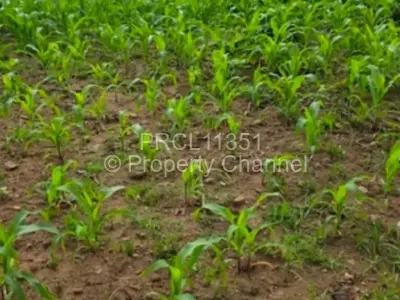 Residential Stand For Sale in Mabelreign