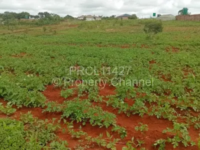 Residential Stand For Sale in Glen Forest