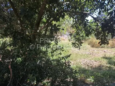 Residential Stand For Sale in Glen Lorne