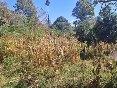 Residential Stand For Sale in Glen Lorne
