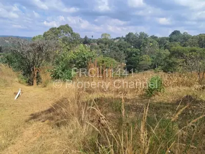 Residential Stand For Sale in Helensvale
