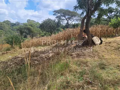 Residential Stand For Sale in Helensvale