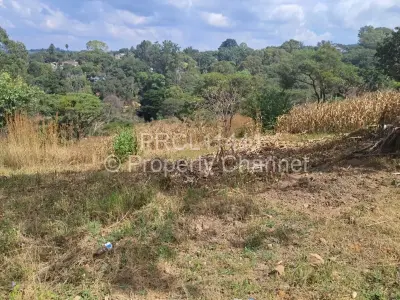 Residential Stand For Sale in Helensvale