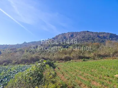 Commercial Stand For Sale in Vumba