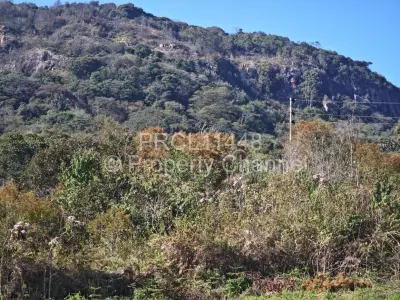 Commercial Stand For Sale in Vumba