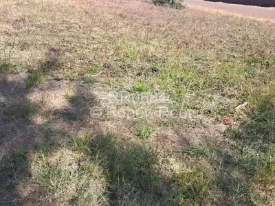 House For Sale in Hogerty Hill