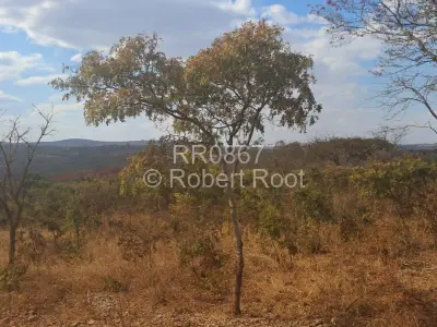 Land for Sale in Glen Forest