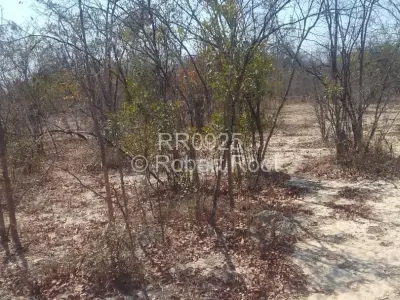 Farm for Sale in Gokwe