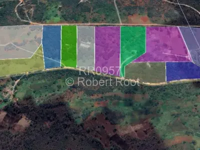 Stand for Sale in Glen Forest
