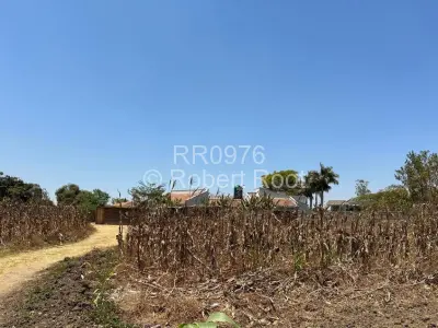 Stand for Sale in Goodhope