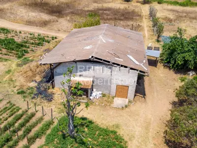 Farm/Plot For Sale in Ruwa