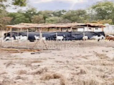 Farm/Plot For Sale in Beatrice