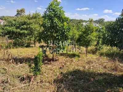 Residential Stand for Sale in Philadelphia