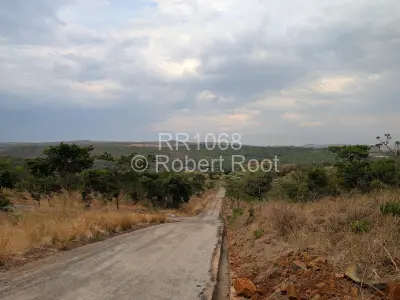 Residential Stand For Sale in Glen Forest