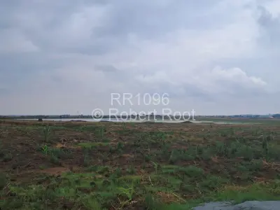 Farm/Plot for Sale in Rainham