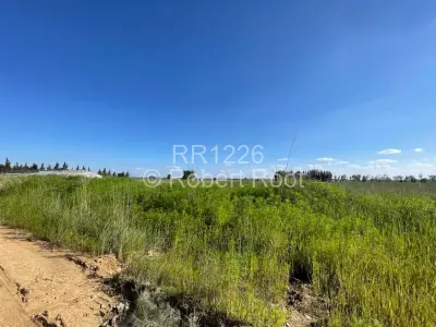 Residential Stand For Sale in Gweru CBD