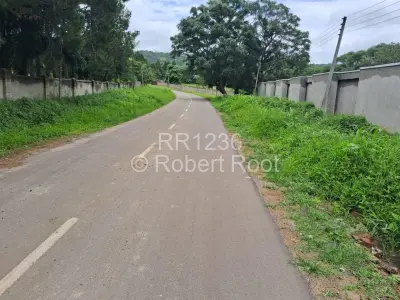 Residential Stand For Sale in Quinnington